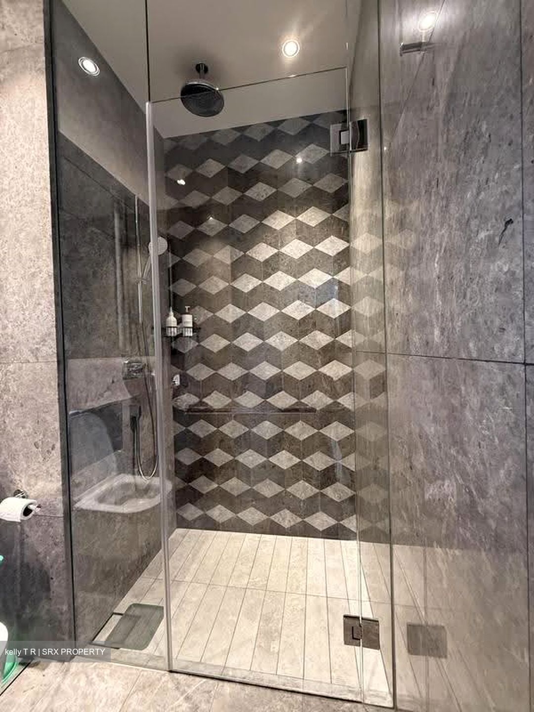 Leedon Green (D10), Condominium #626086211